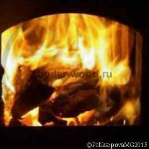 Сжигание дровяного топлива